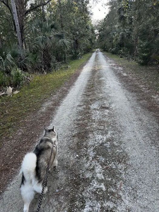 River Road Campground Picture 7