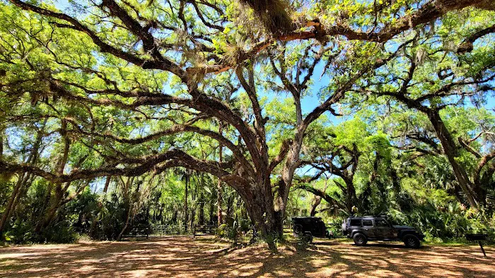 River Road Campground Picture 2