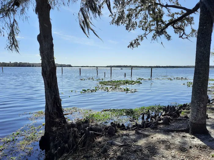 Astor Landing Campground Picture 4