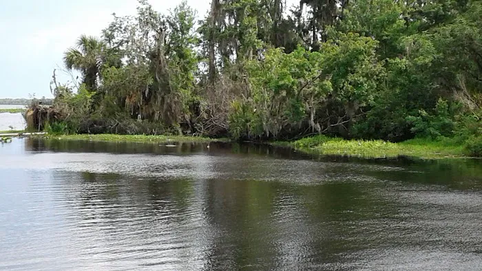 Astor Landing Campground Picture 8