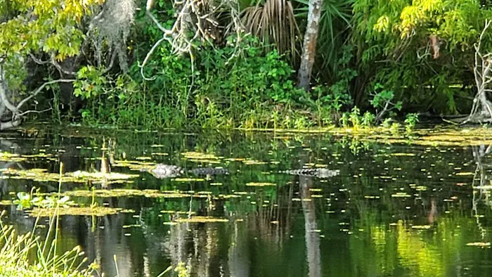 Powell's Campground Picture 7