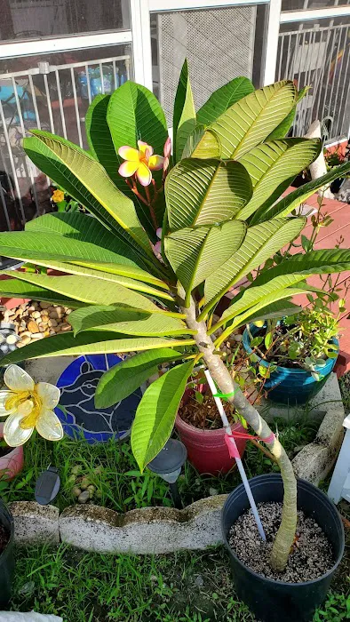 Powell's Campground Picture 8