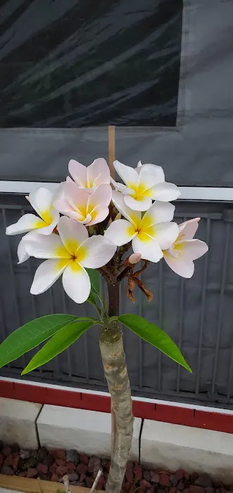 Powell's Campground Picture 3