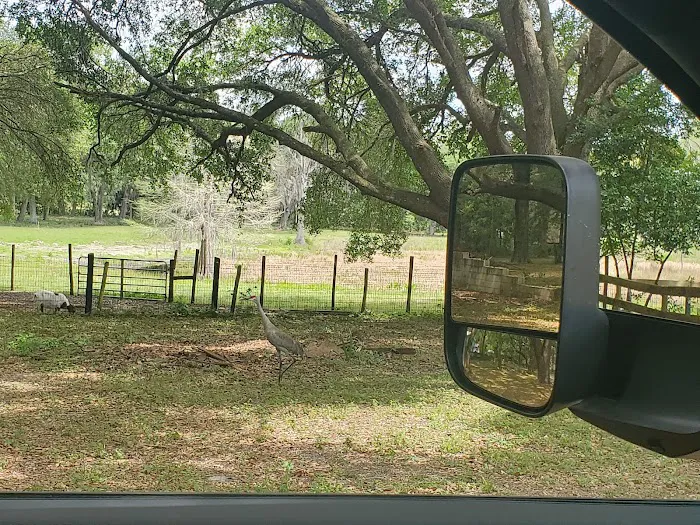 Wildwood Campground Picture 7