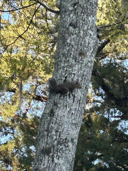 Wildwood Campground Picture 6