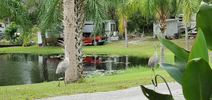 Wildwood Campground Picture 8