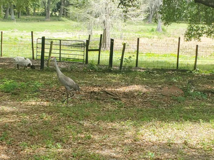 Wildwood Campground Picture 1