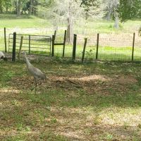 Wildwood Campground ico