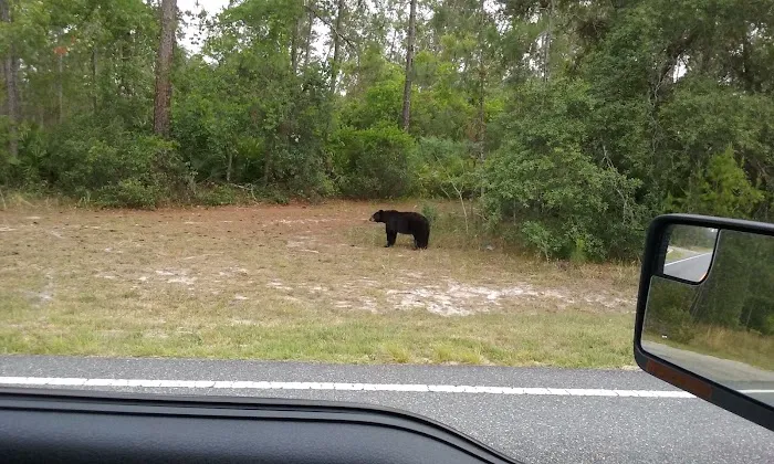 Wildwood Campground Picture 5