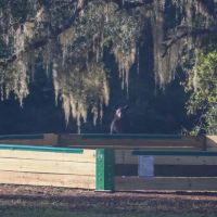 Bluff Landing Campground ico