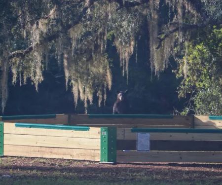 Bluff Landing Campground