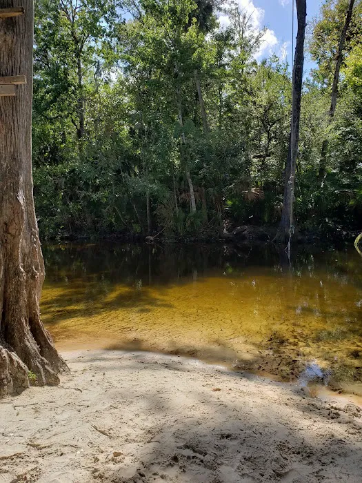 Bluff Landing Campground Picture 15