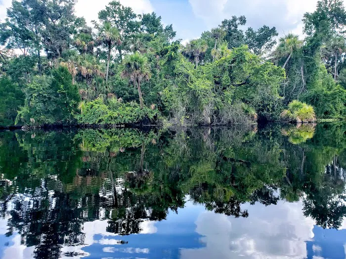 Alexander Springs Recreation Area Picture 4