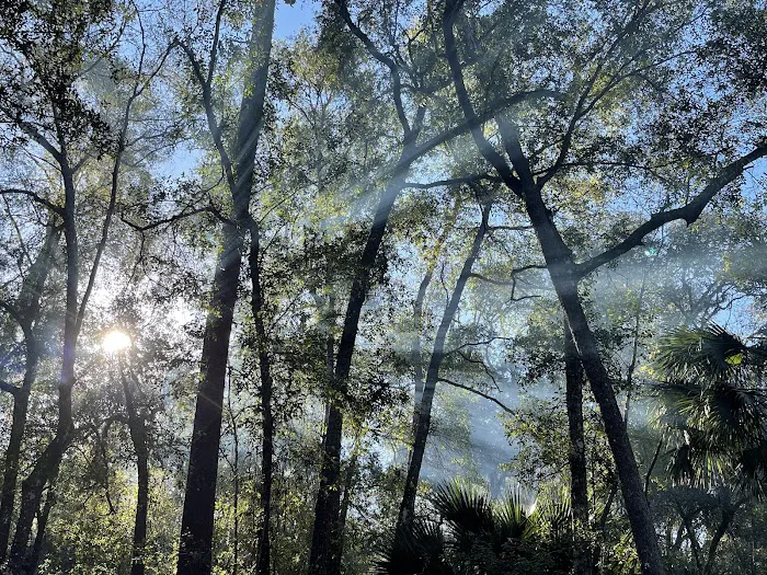 Alexander Springs Camping Area Picture 2