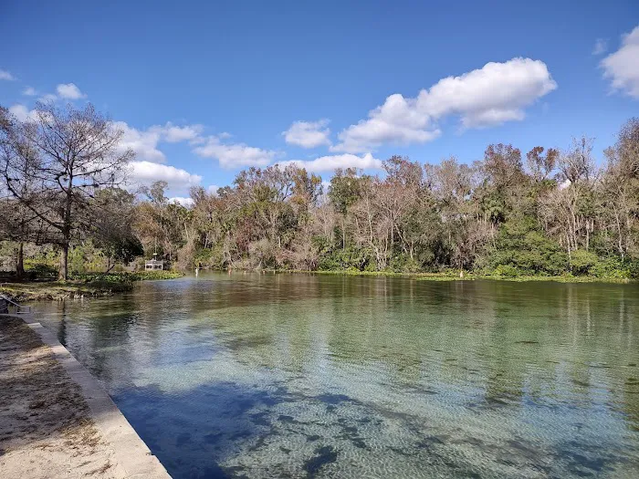 Alexander Springs Camping Area Picture 3