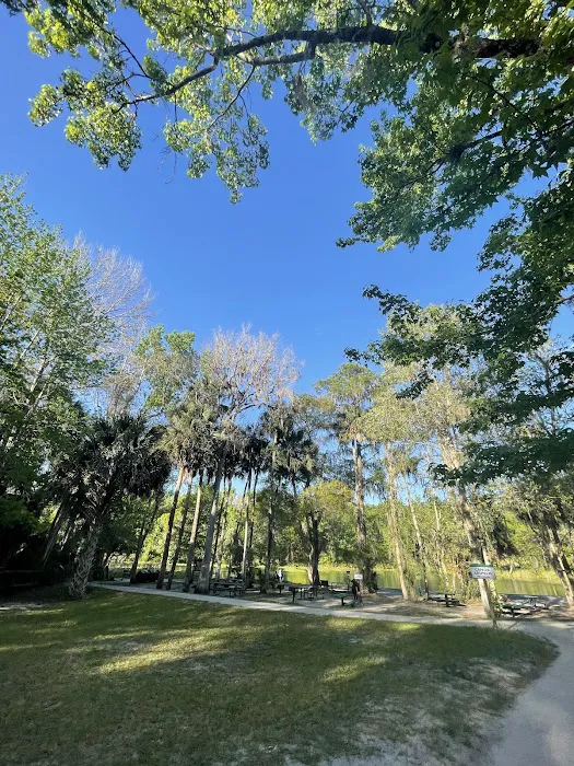 Alexander Springs Camping Area Picture 4