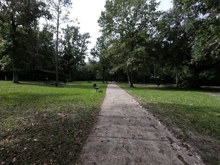 Alexander Springs Camping Area Picture 7