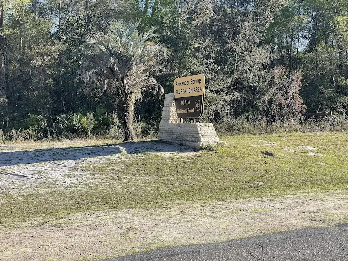 Alexander Springs Camping Area Picture 9