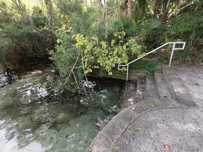 Alexander Springs Camping Area Picture 8