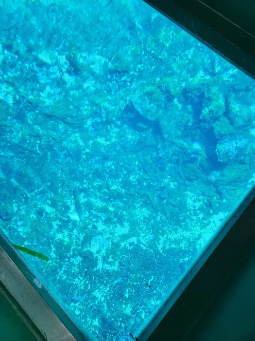 Silver Springs State Park Campground Picture 1