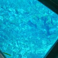 Silver Springs State Park Campground ico