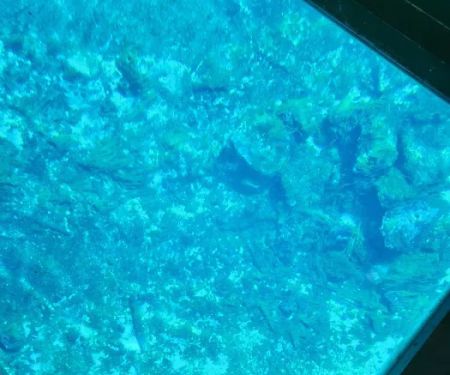 Silver Springs State Park Campground