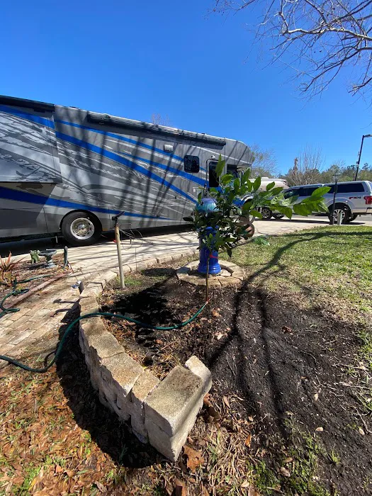 JazzyPigs Wilderness Refuge Picture 10