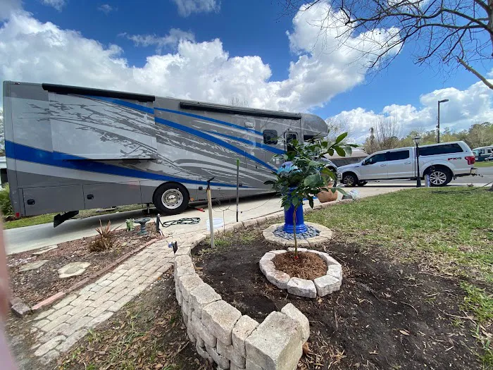 JazzyPigs Wilderness Refuge Picture 3