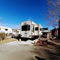 JazzyPigs Wilderness Refuge ico