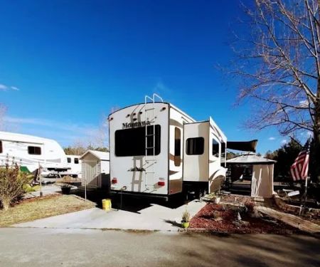 JazzyPigs Wilderness Refuge