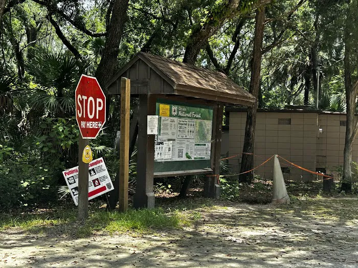 Fore Lake Campground/Silver Springs Picture 1