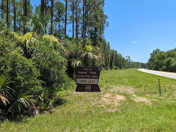 Fore Lake Campground/Silver Springs Picture 3