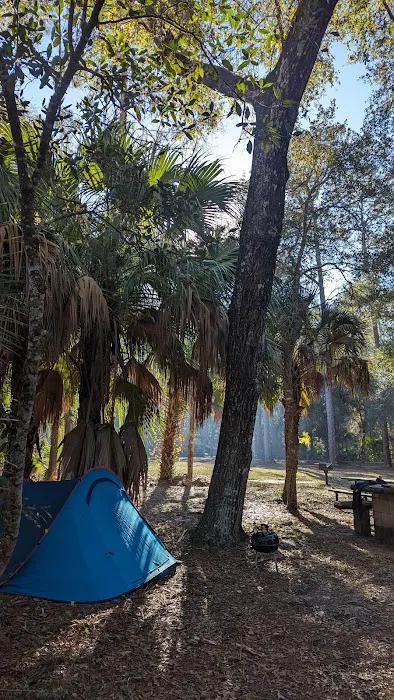 Fore Lake Campground/Silver Springs Picture 4