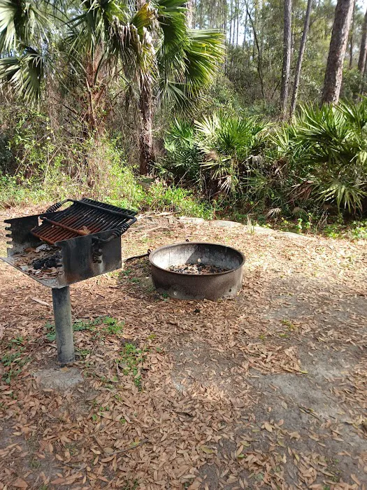 Fore Lake Campground/Silver Springs Picture 6