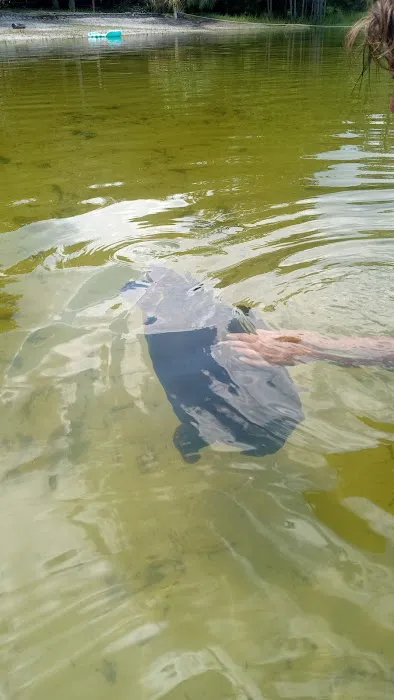 Fore Lake Campground/Silver Springs Picture 9