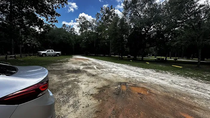 Fore Lake Campground/Silver Springs Picture 8