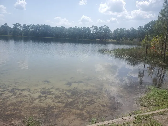 Lake Shore Group Campground - Ocala National Forest Picture 3