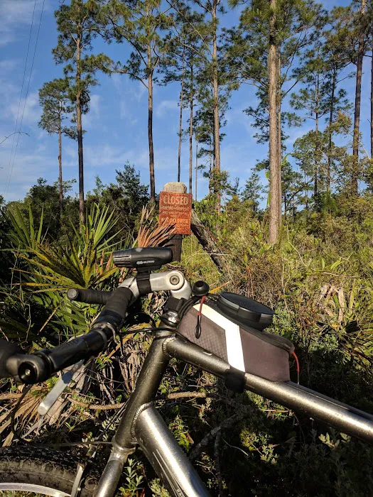 Lake Shore Group Campground - Ocala National Forest Picture 6