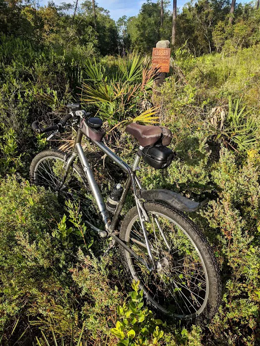 Lake Shore Group Campground - Ocala National Forest Picture 7