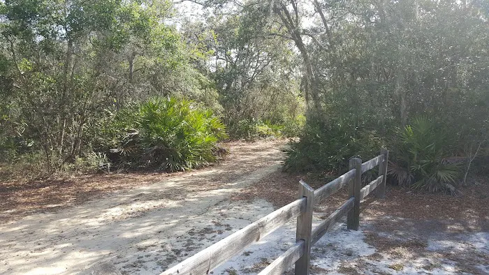 Lake Shore Group Campground - Ocala National Forest Picture 10