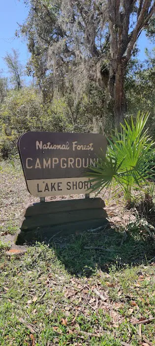Lake Shore Group Campground - Ocala National Forest Picture 4