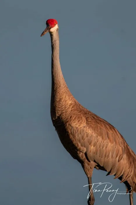 Lake Waldena Resort Picture 8