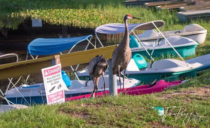 Lake Waldena Resort Picture 1