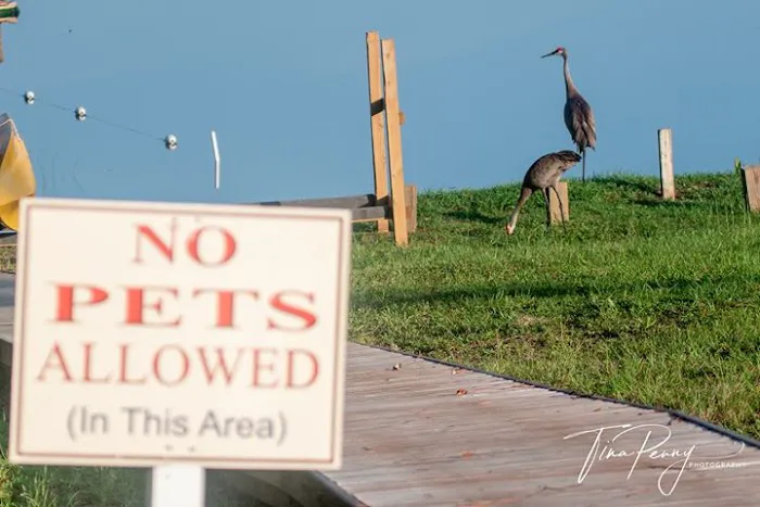 Lake Waldena Resort Picture 6