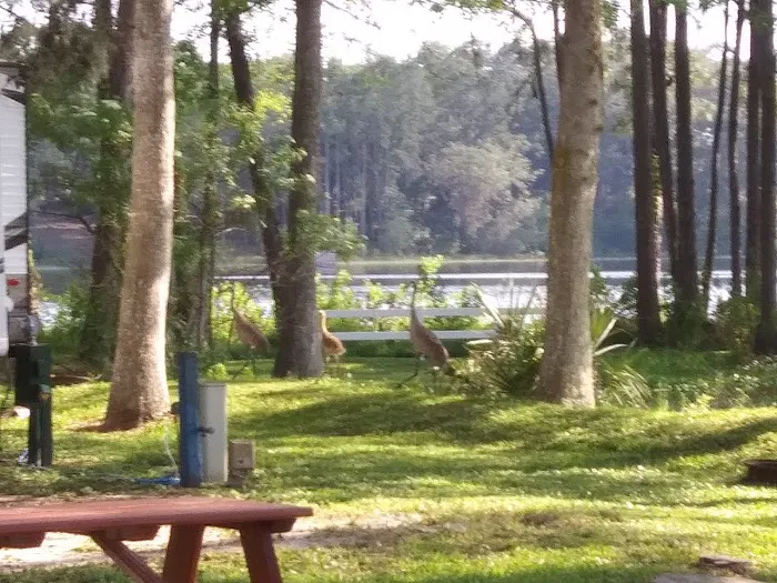 Lake Waldena Resort Picture 3