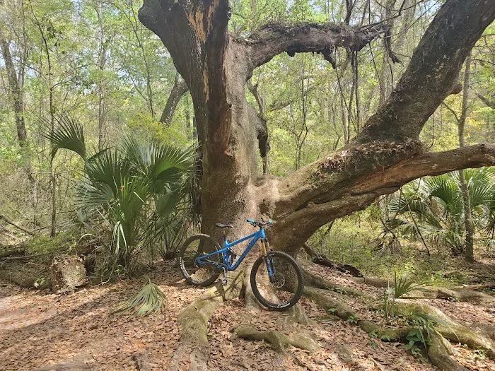 Santos Campground Picture 6