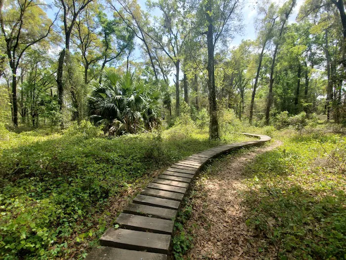 Santos Campground Picture 8