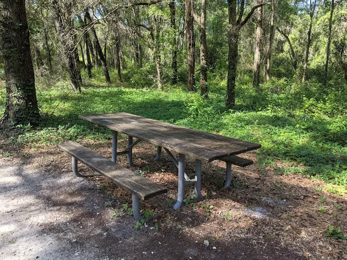 Santos Campground Picture 10