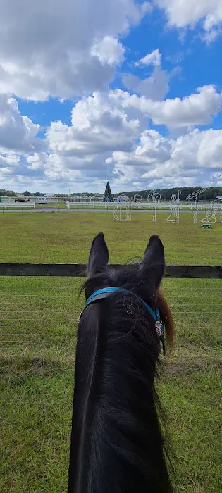 Hitching Post Trails Picture 2