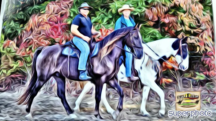 Hitching Post Trails Picture 9